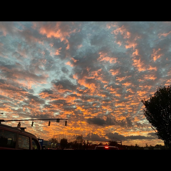 Meet your Posher, Jordan - Picture 1 of 1